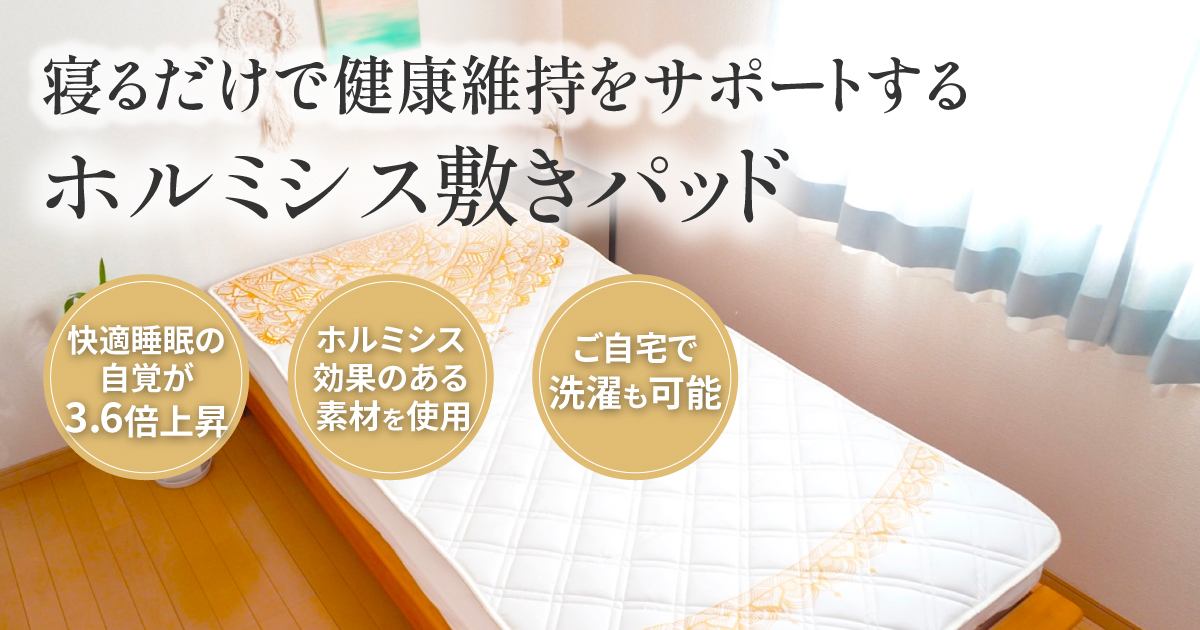 寝ている間にダイエット！ホルミシスエスティマット 寝るだけ